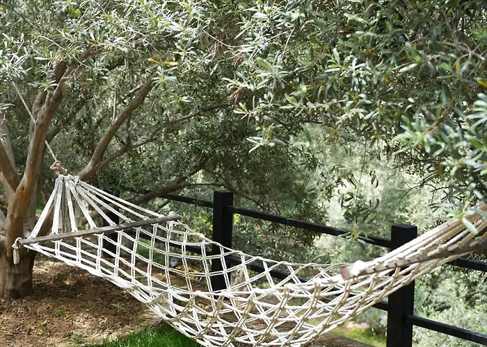 Gazde/Camere de închiriat Loca Hill *