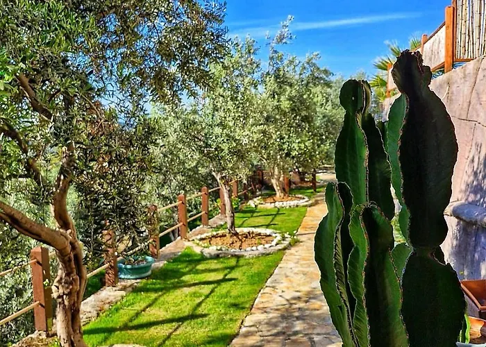 Loca Hill Gazde/Camere de închiriat *