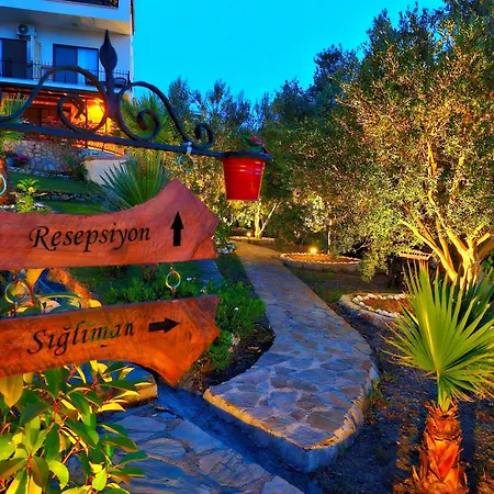 Loca Hill Homestay *