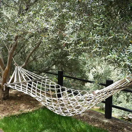 Habitación en casa particular Loca Hill *