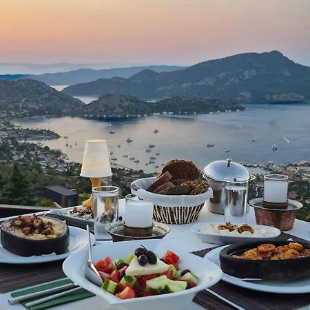 Loca Hill * マルマリス