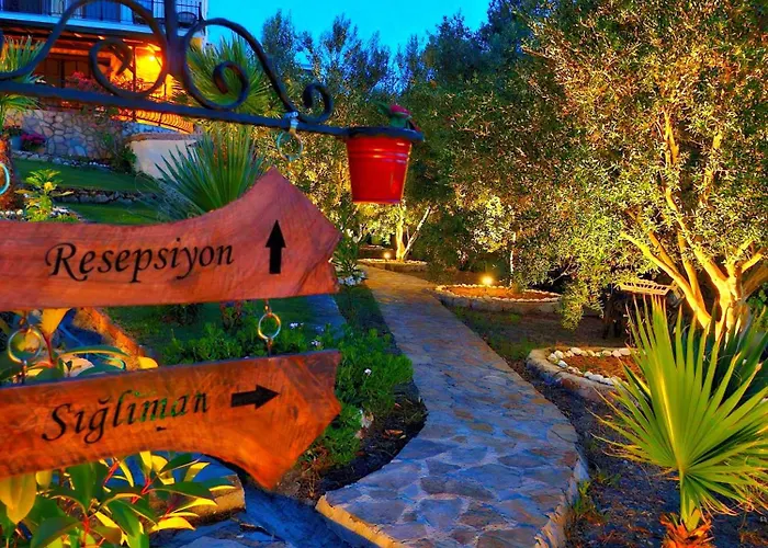 Loca Hill Проживание в семье *